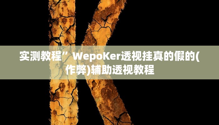 实测教程”WepoKer透视挂真的假的(作弊)辅助透视教程