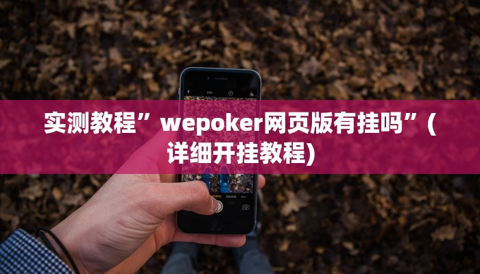 实测教程”wepoker网页版有挂吗”(详细开挂教程)
