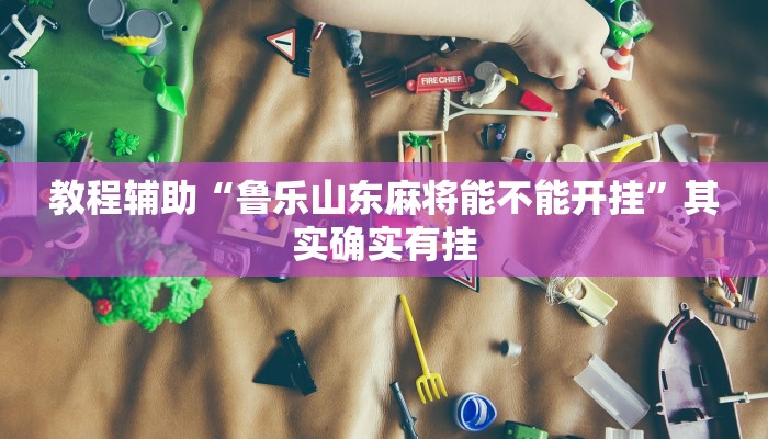 教程辅助“大懒人娱乐斗十四怎么开挂”其实确实有挂
