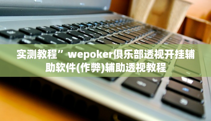 教程辅助!“德州werplan作弊辅助透视”其实确实有挂