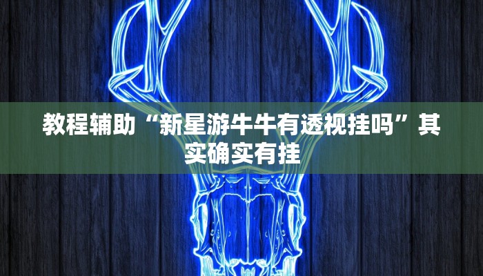 实测教程”相约十三水辅助器下载(作弊)辅助透视教程