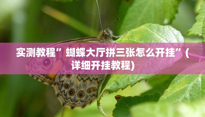 实测教程”中至麻将软件有没有挂(作弊)辅助透视教程