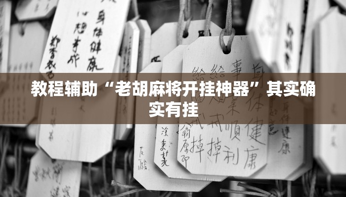 实测教程”pokernow透视挂方法(作弊)辅助透视教程