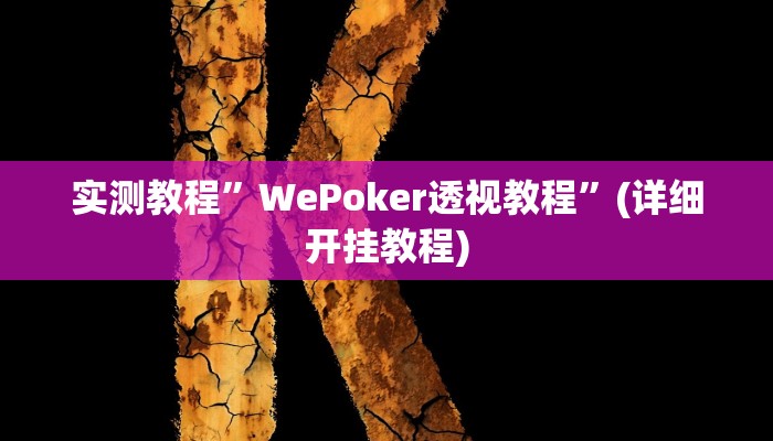 实测教程”福建十三张辅助怎么开挂(作弊)辅助透视教程