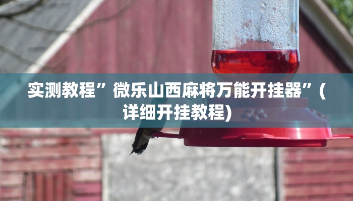教程辅助“天天摸麻将挂在哪里买”其实确实有挂