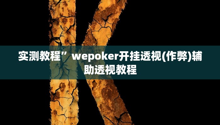 实测教程”wepoker开挂透视(作弊)辅助透视教程
