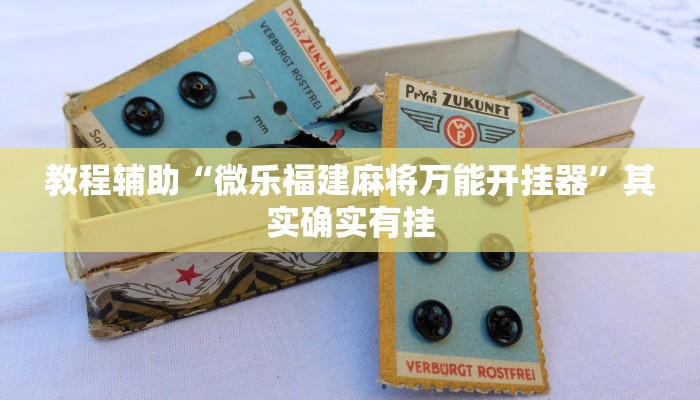 教程辅助“微乐福建麻将万能开挂器”其实确实有挂