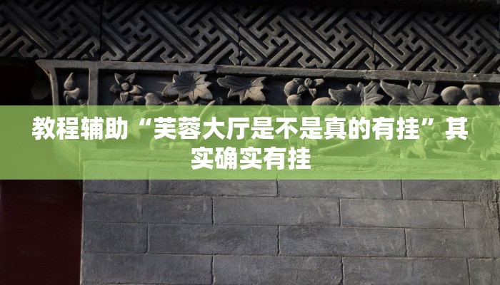 教程辅助“芙蓉大厅是不是真的有挂”其实确实有挂