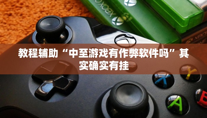 教程辅助“中至游戏有作弊软件吗”其实确实有挂