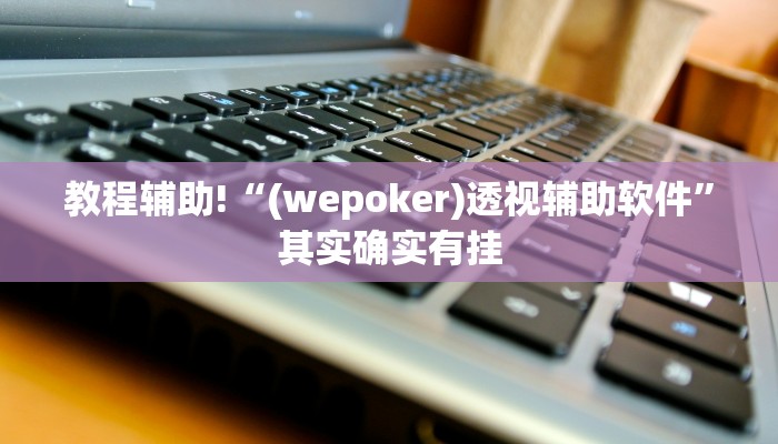 教程辅助!“(wepoker)透视辅助软件”其实确实有挂