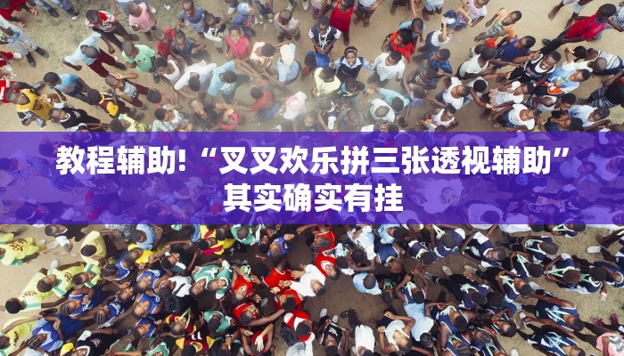 教程辅助!“叉叉欢乐拼三张透视辅助”其实确实有挂
