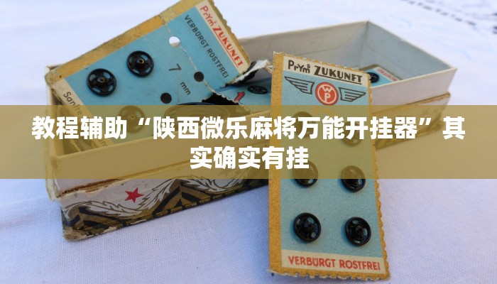 教程辅助“陕西微乐麻将万能开挂器”其实确实有挂