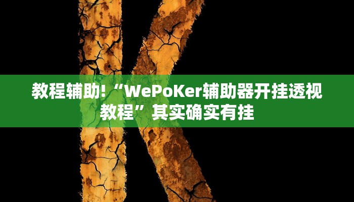 教程辅助!“WePoKer辅助器开挂透视教程”其实确实有挂