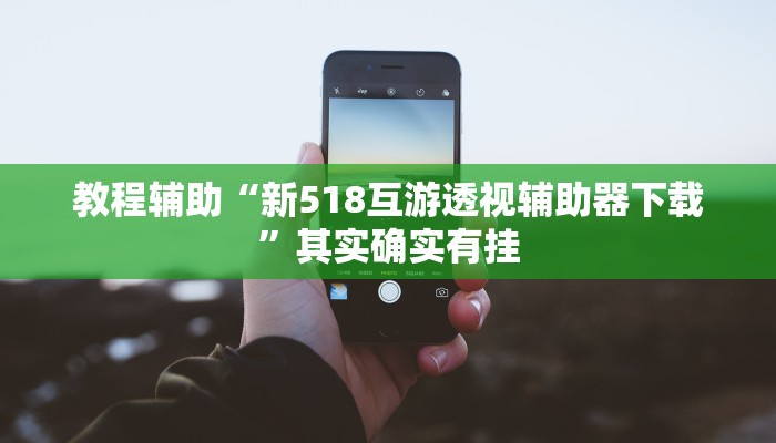 教程辅助“新518互游透视辅助器下载”其实确实有挂
