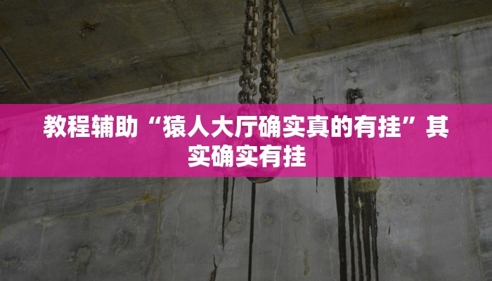 教程辅助“猿人大厅确实真的有挂”其实确实有挂