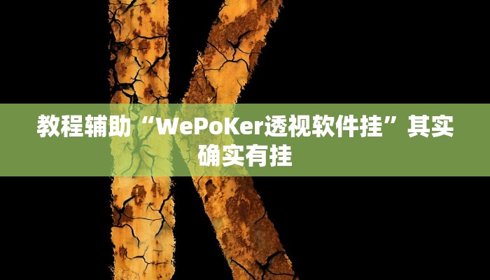 教程辅助“WePoKer透视软件挂”其实确实有挂