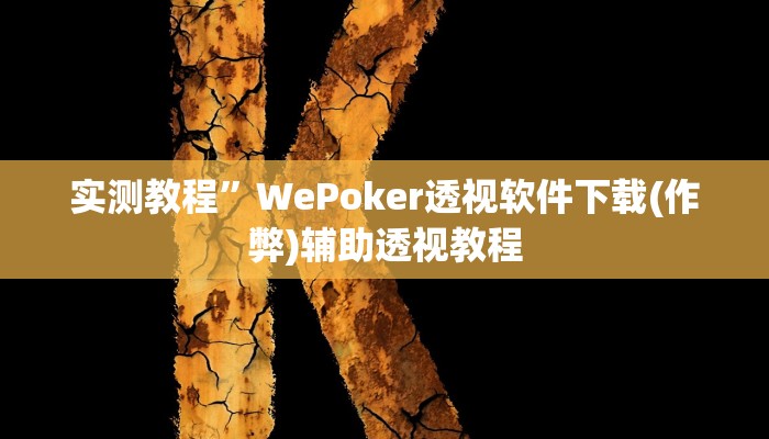 实测教程”WePoker透视软件下载(作弊)辅助透视教程