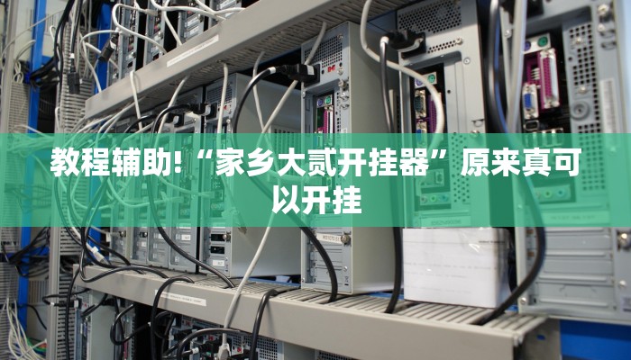教程辅助!“家乡大贰开挂器”原来真可以开挂