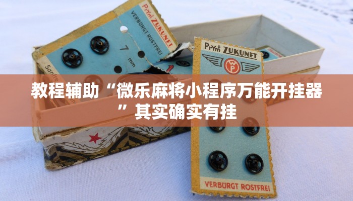 教程辅助“微乐麻将小程序万能开挂器”其实确实有挂